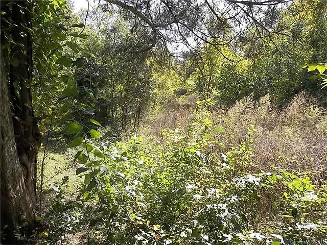 2nd image of 0000 Balfour Dr