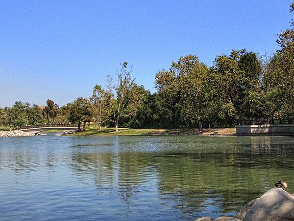 Beautiful Lake Vistas