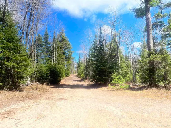 480 Acres Off, Michigamme, MI 49861
