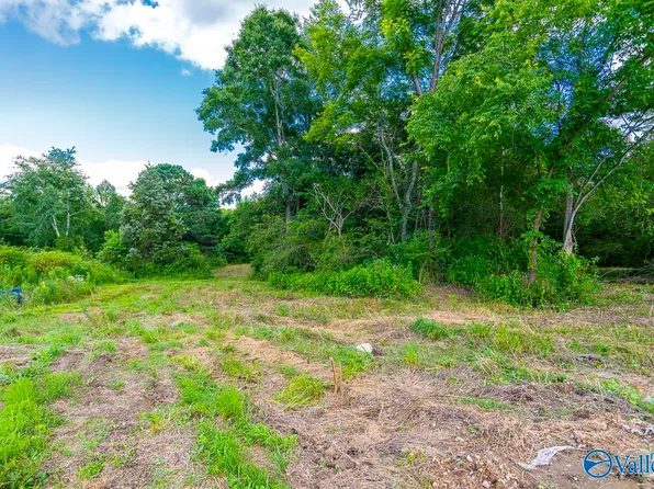 1641 Scott Rd, Hazel Green, AL 35750