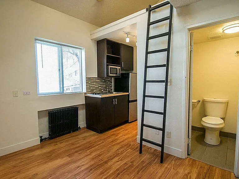 Charming studio apartment with a modern kitchenette, hardwood floors, and a loft ladder beside a cozy bathroom.