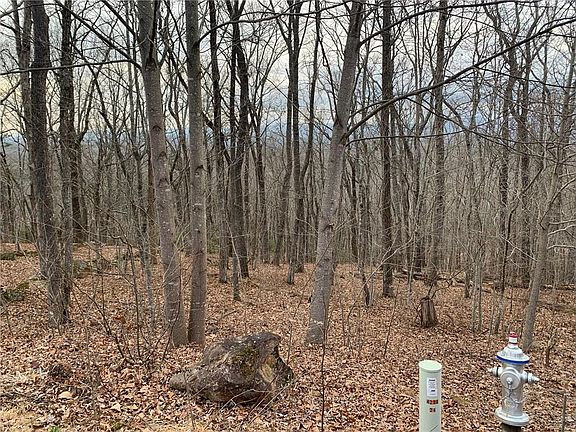 4th image of 29 Long Mountain Trl