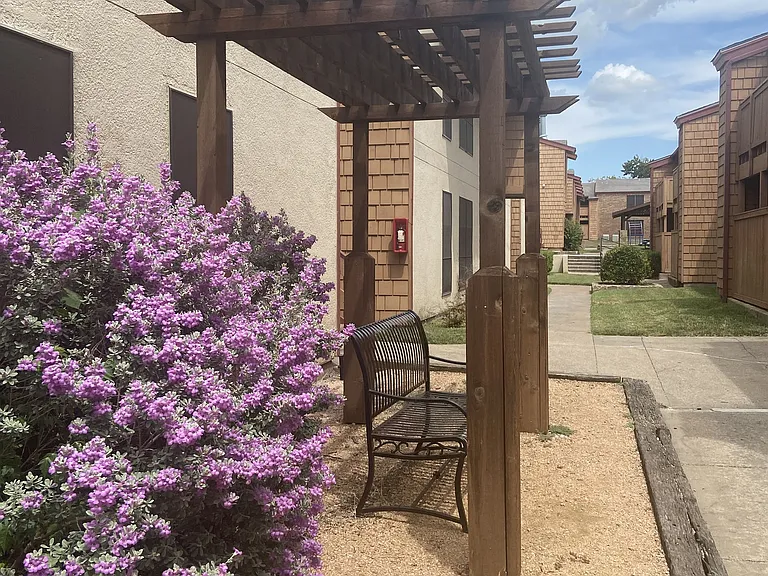 Sun Colony — Photo 13
