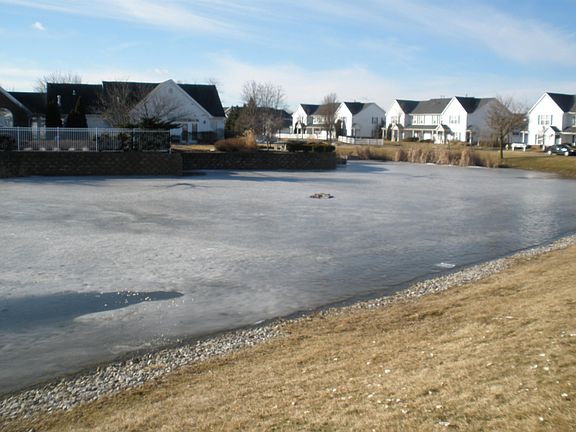 2nd image of 703 Pondview Dr #36