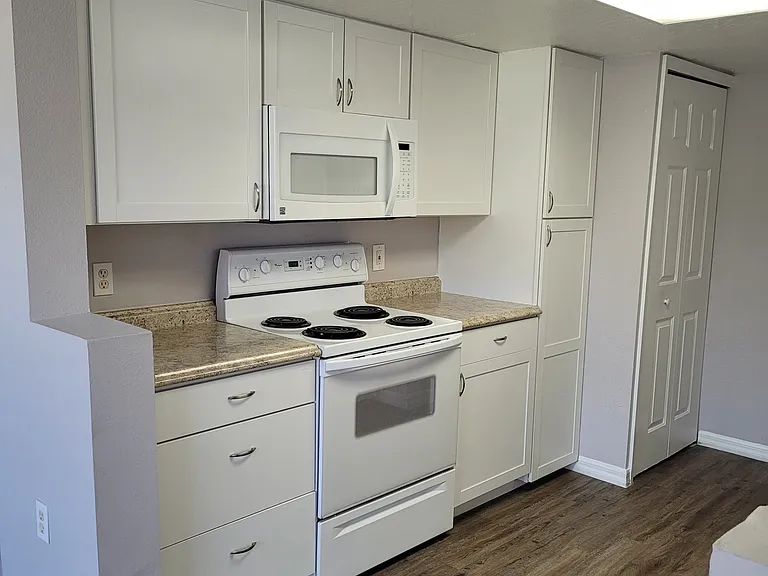 103 Coconut Palm Way — Photo 4
