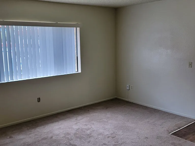 Carpeted living room with large window and vertical blinds at Magnolia Apartments in Riverside, Califonia.