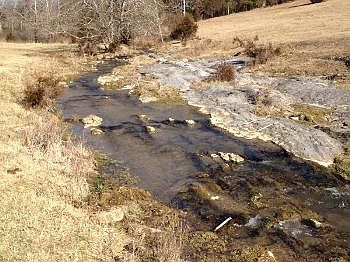 2nd image of 1631 Timber Ridge Rd