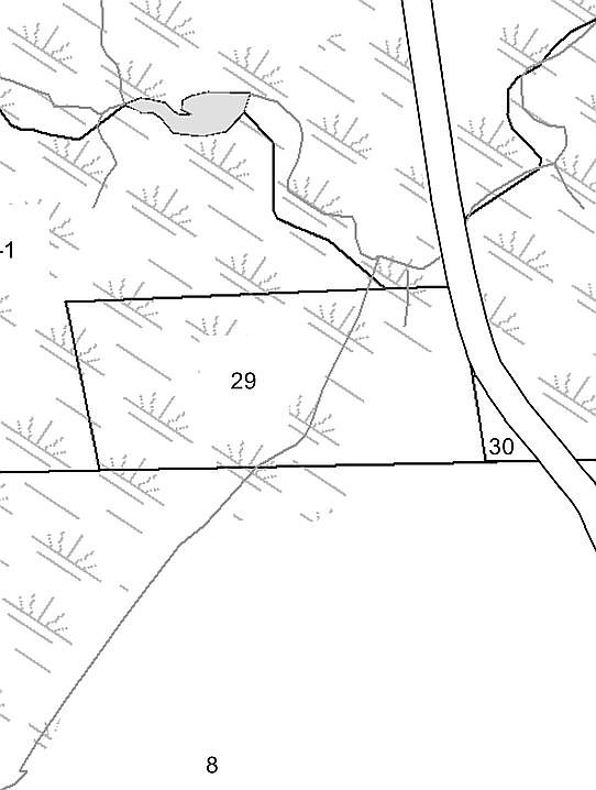 Map 12 lot 29 & 30
