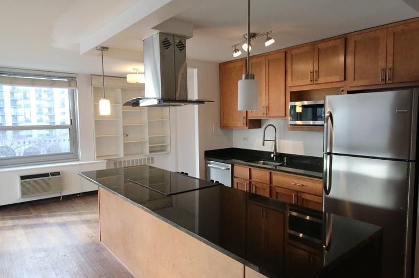 1st image of 1255 N Sandburg Ter Unit 501