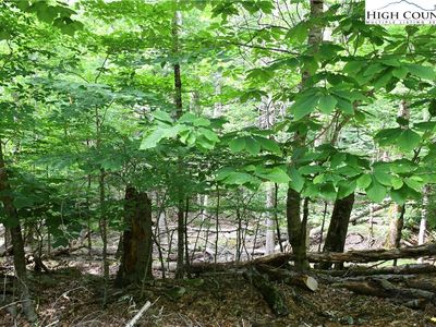 102 Blackberry Trail, Banner Elk, NC, 28604