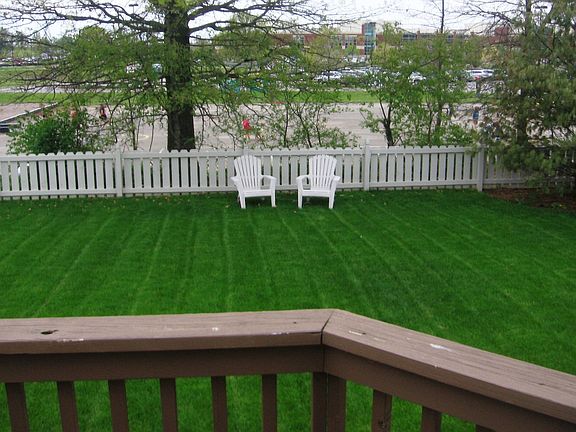 Fenced Back Yard