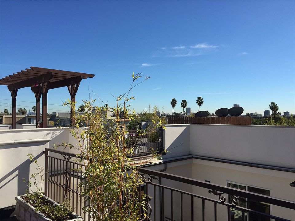 Rooftop Garden