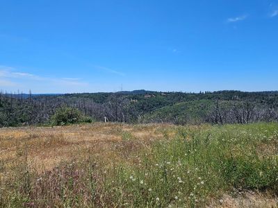24920 Saddleback Ln, Colfax, CA, 95713