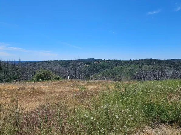 24920 Saddleback Ln, Colfax, CA 95713