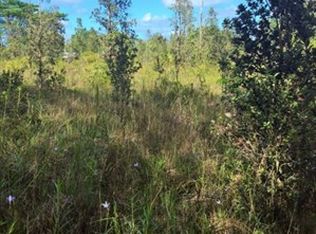 Railroad Ave LOT 115, Keaau, HI 96749