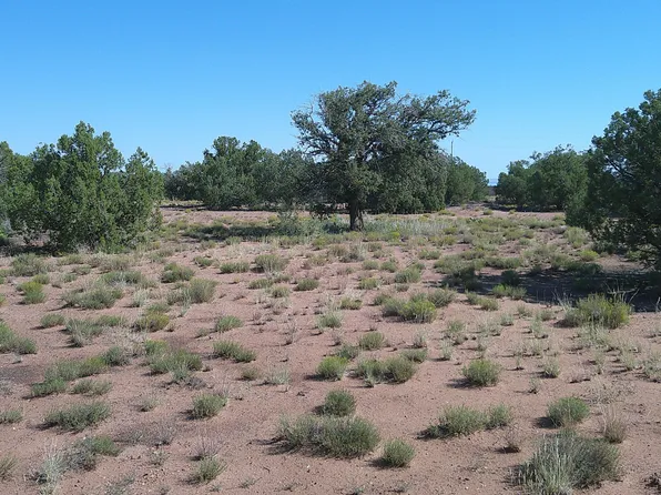 4434 Indian Bend Rd, Snowflake, AZ 85937