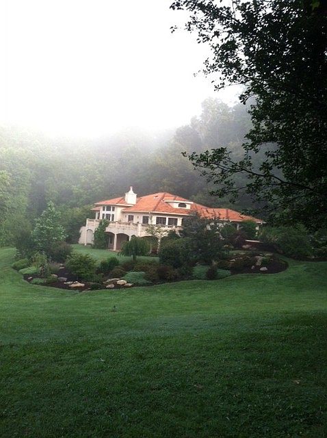 Foggy day