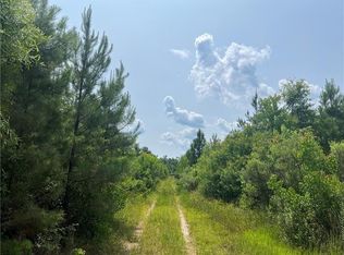 1439 Leonard Chapel Rd, Independence, LA 70443