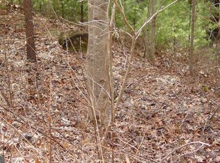 10 Spaniard Point Rd, Hiawassee, GA 30546