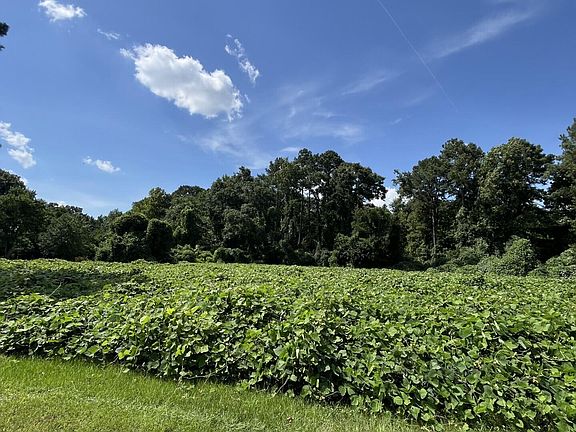 3rd image of 0 Low Country Hwy