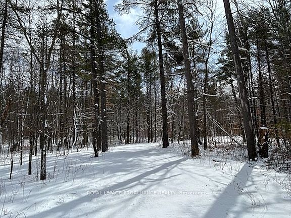 4th image of 97 Greenly Rd