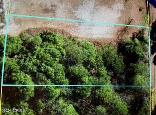 547 S Horsepen Rd, Harrells, NC 28444