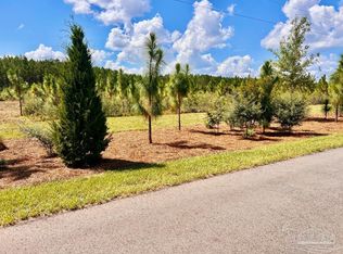 63 Naturewalk Dr N, Milton, FL 32571