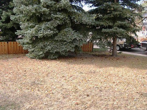 4th image of 5125 Escapardo Way