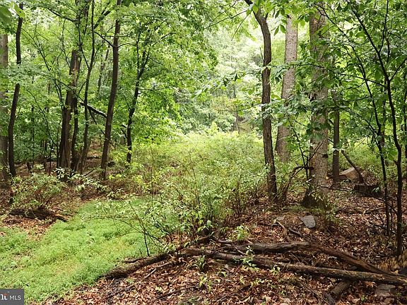 5th image of Trail Ln
