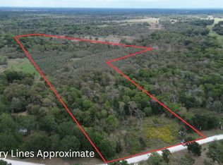 26234 Bedias Dr, Bedias, TX 77831