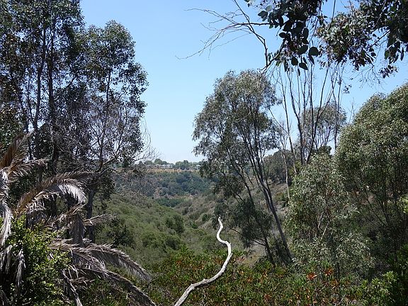 Tecolote Canyon