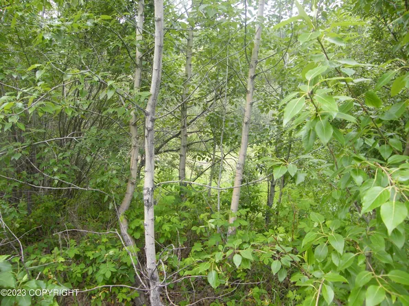 L18 B16 First St, Chitina, AK 99566