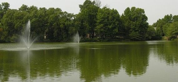 2nd image of 7133 Lake Cove Dr