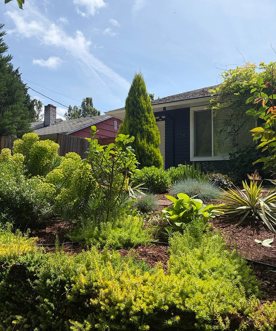 2 bed, 784 sqft, $2,600 — Photo 4