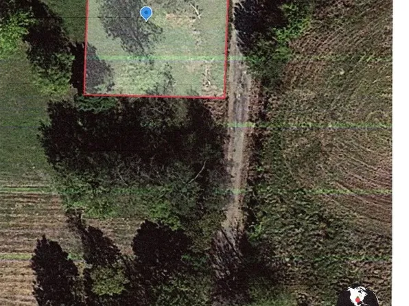 104 Fm, Point, TX 75472