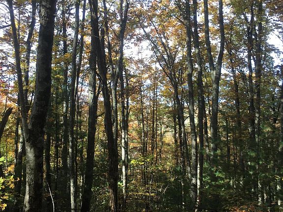 4th image of 3 67 Acres Towee Falls Rd