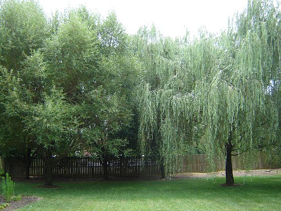 3rd image of 7114 Ashburton Dr