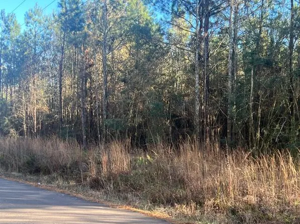 0 Duncan Rd, Kokomo, MS 39643