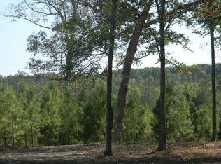 4302 An County Road 137, Elkhart, TX 75839