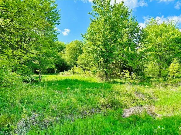 Belden Rd, Andover, OH 44003