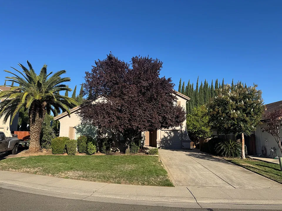 3405 Spring Rose Way