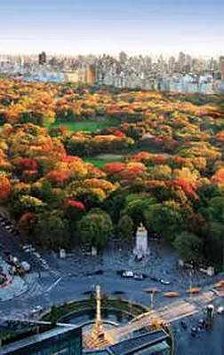 Rented by iHomeny Realty | media 43