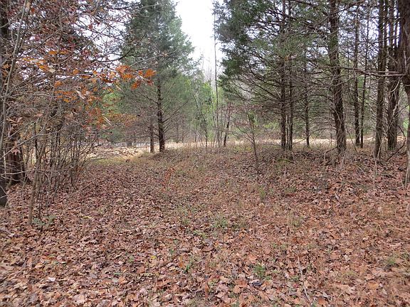 2nd image of 6969 Taylor Creek Loop