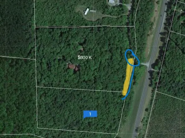 25 Screech Owl #2, Moncure, NC 27559