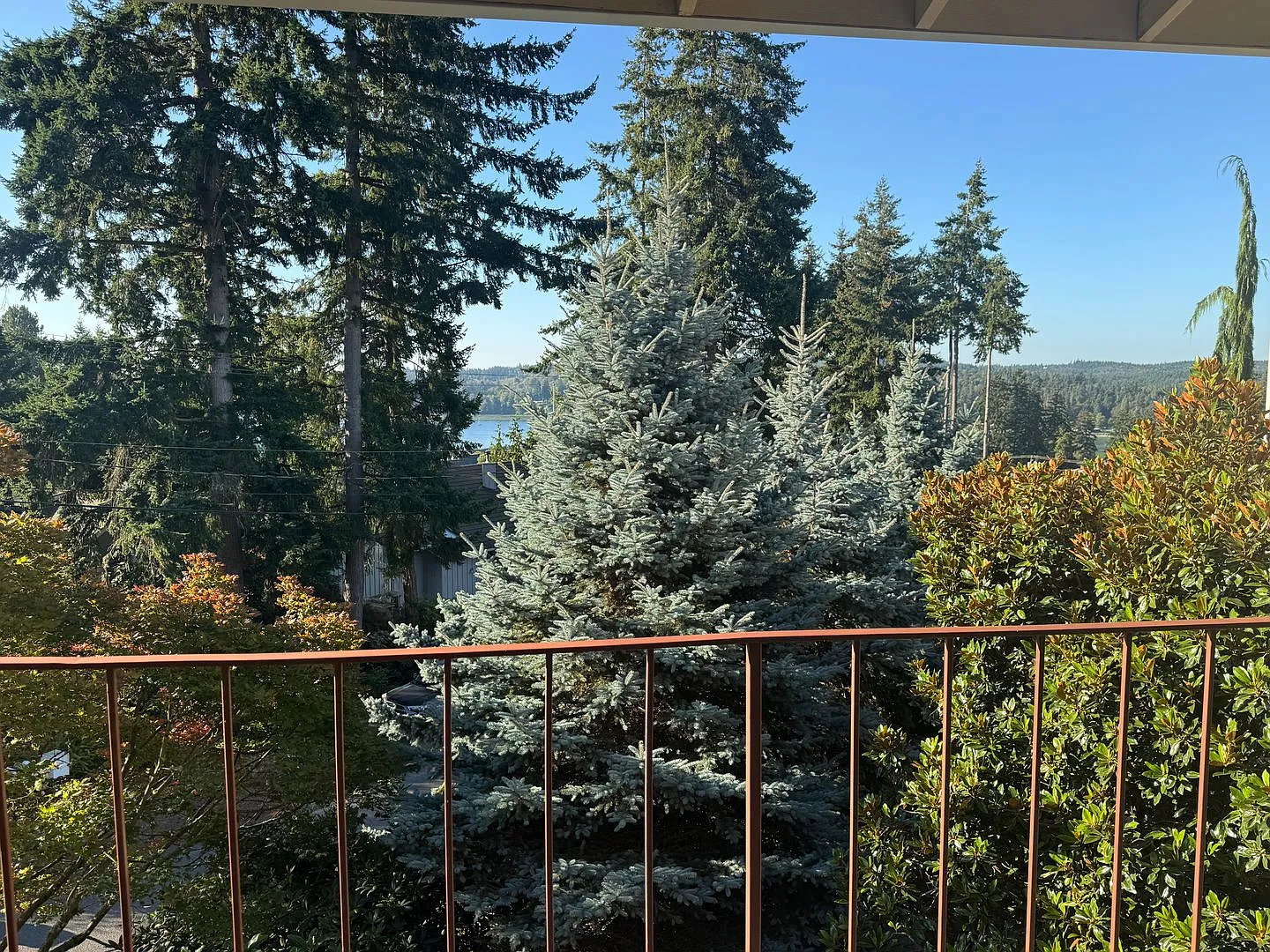 Kingston View Condo...2 bedrooms now available — Photo 3