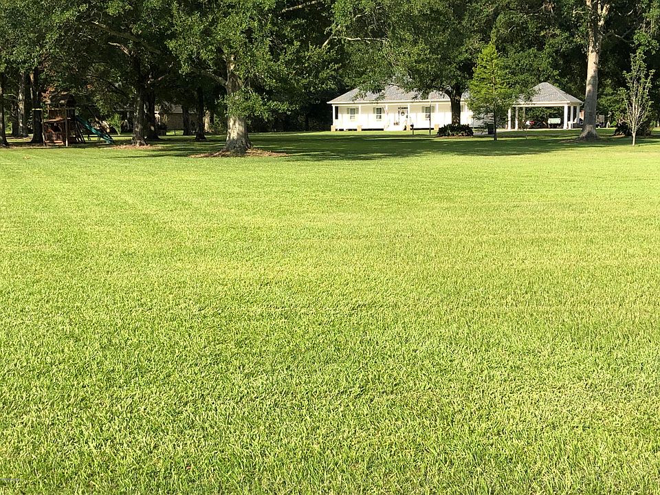 1st image of Dogwood