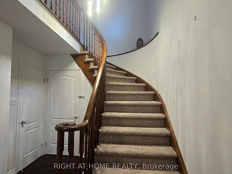 5 Constellation Cres — Photo 6