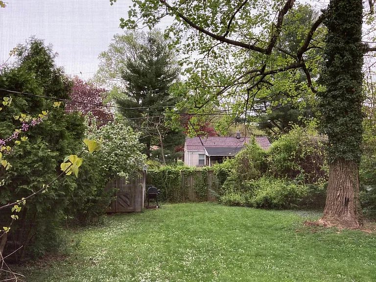 Back yard