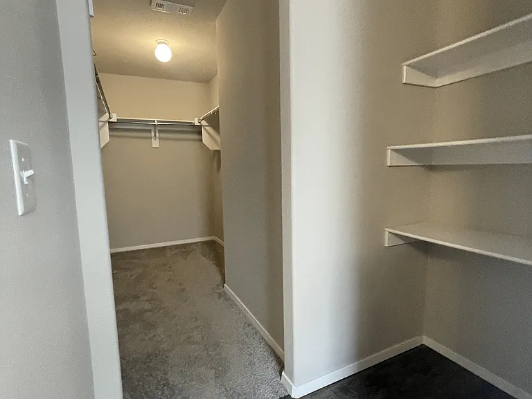Walk-in Closet and Shelf