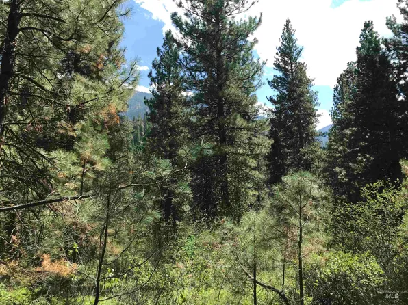 High Dr, Lowman, ID 83637